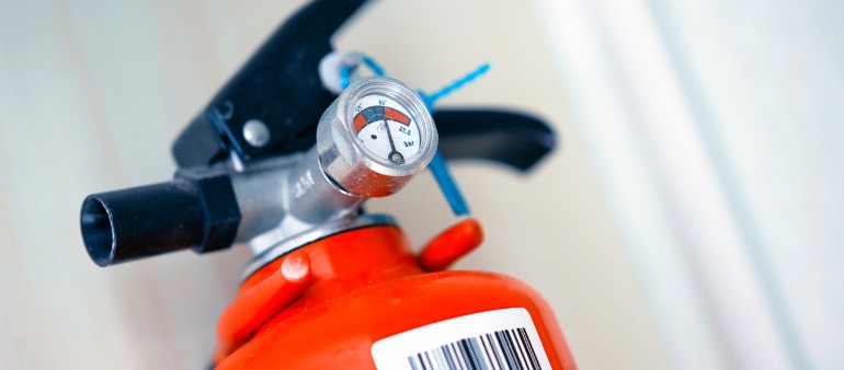 Aliquam congue fermentum nisl